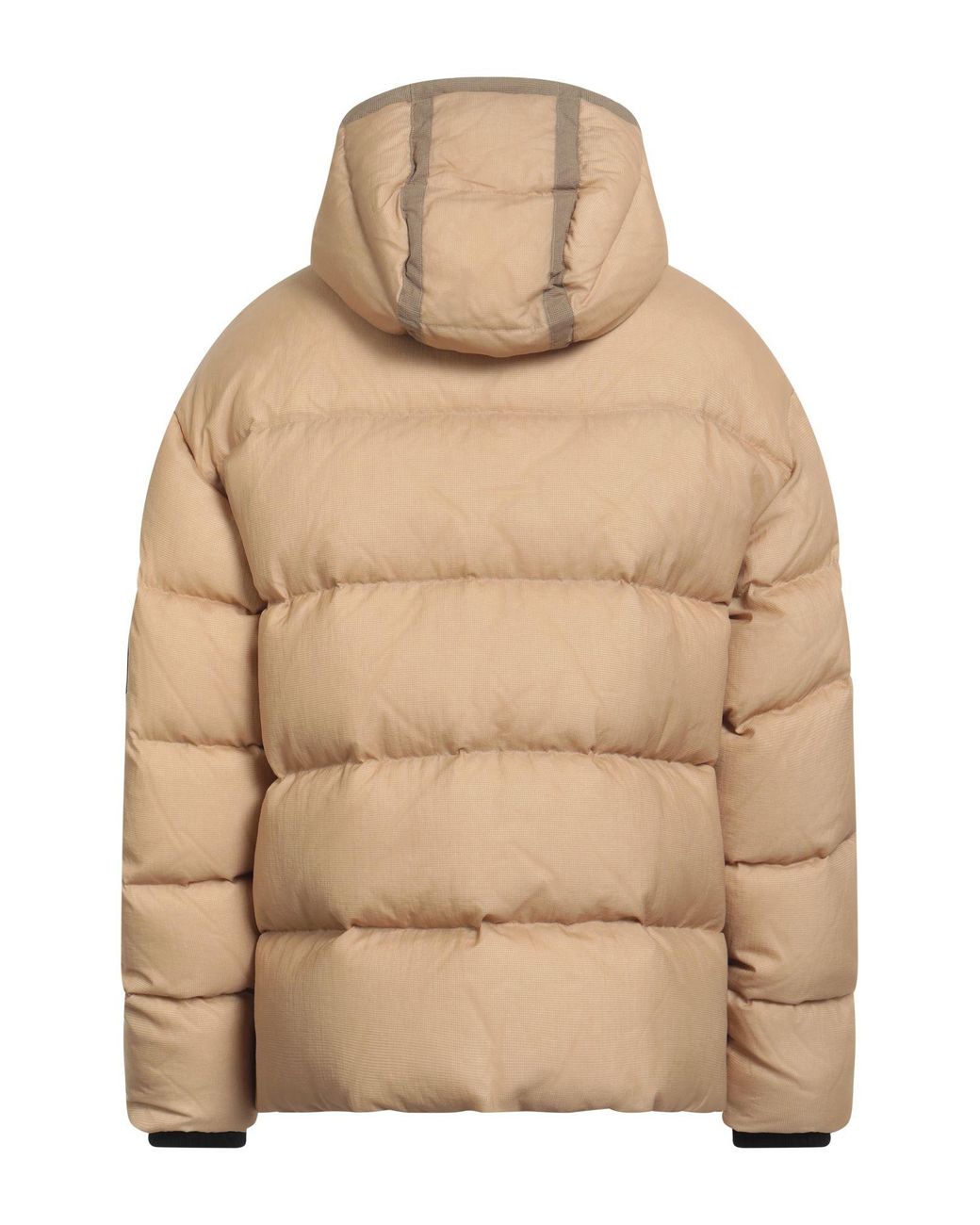 Piumino & Imbottito Sintetico di DSquared² in Natural da Uomo