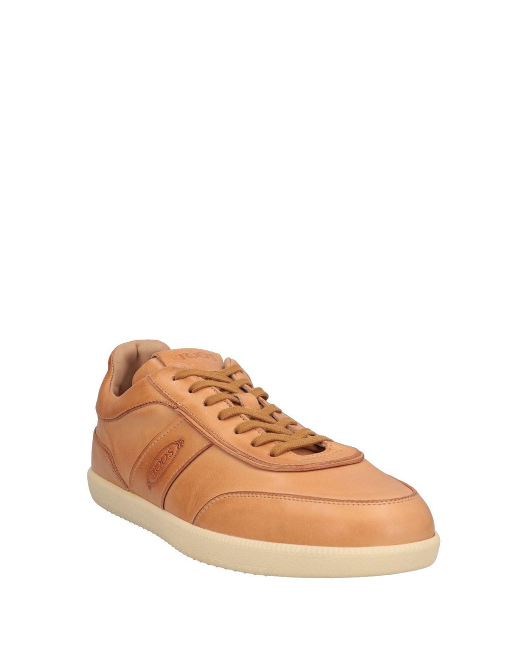 Tod's Brown Sneakers for men