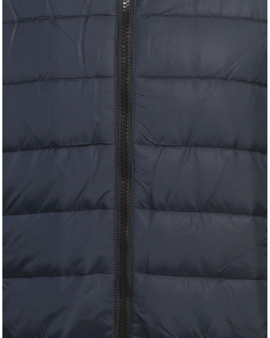 Baldinini Blue Puffer for men