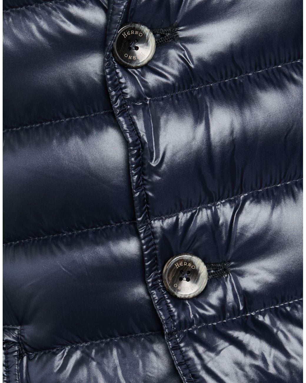 Herno Blue Puffers for men