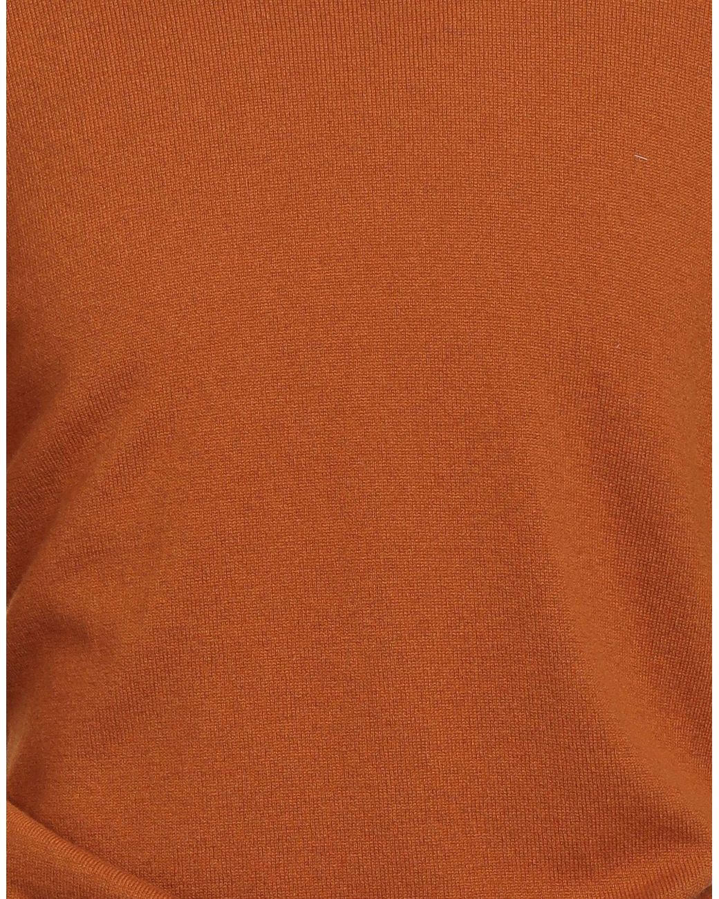 Gran Sasso Brown Turtleneck for men