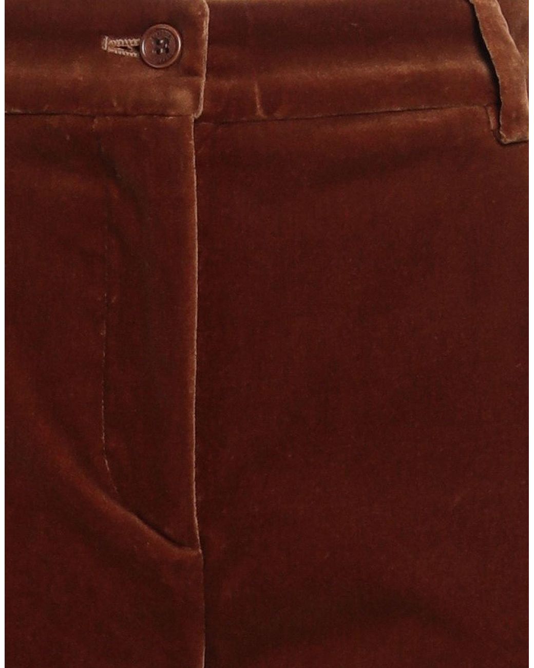 Alberta Ferretti Brown Pants