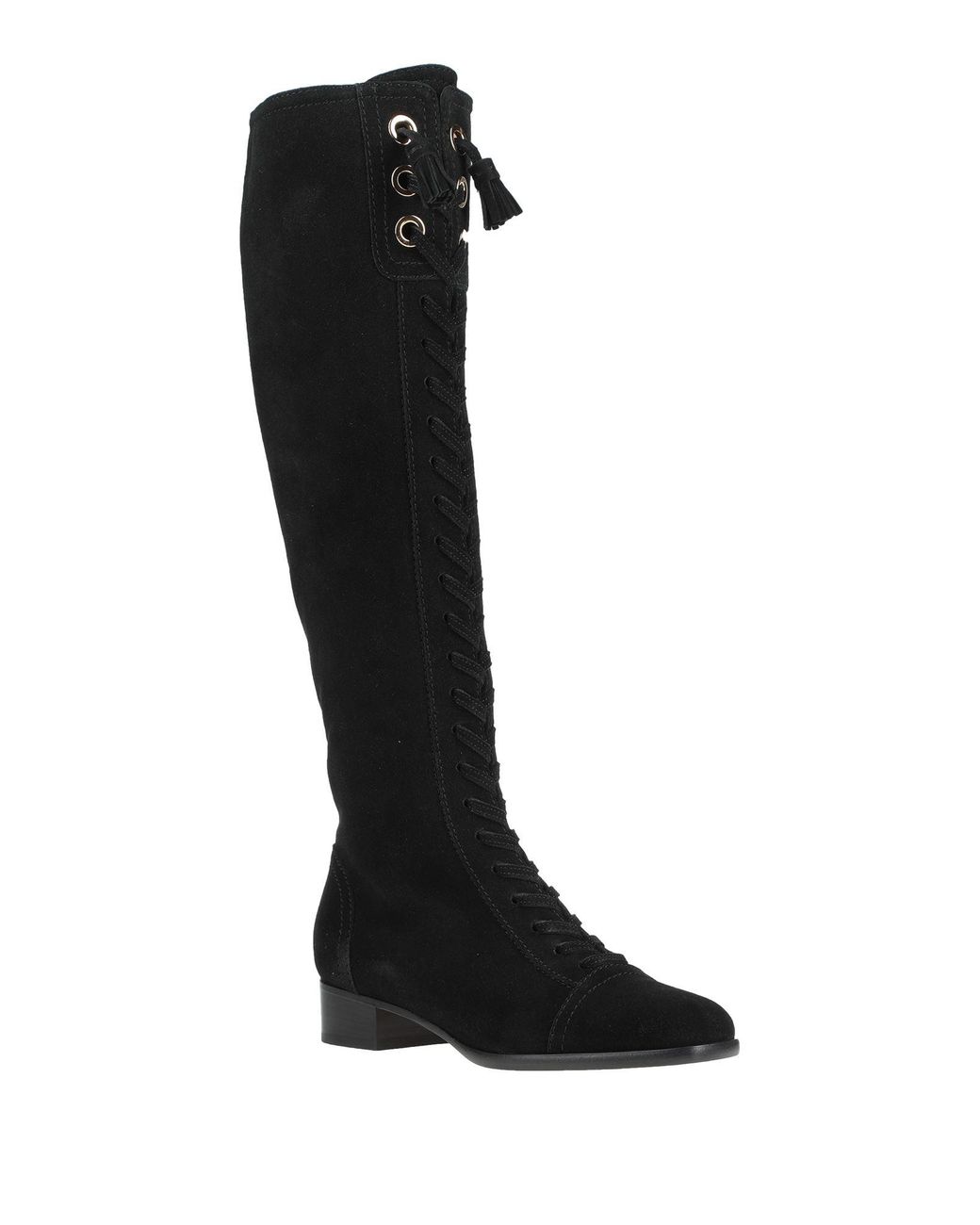Botte Alberta Ferretti en coloris Black