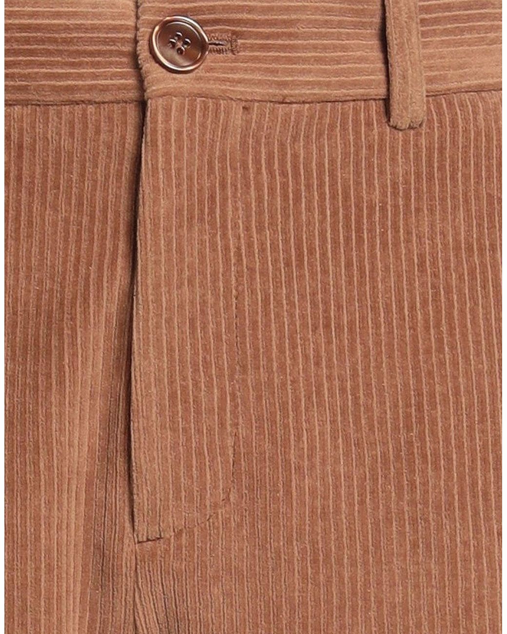 Circolo 1901 Brown Pants Cotton, Polyester