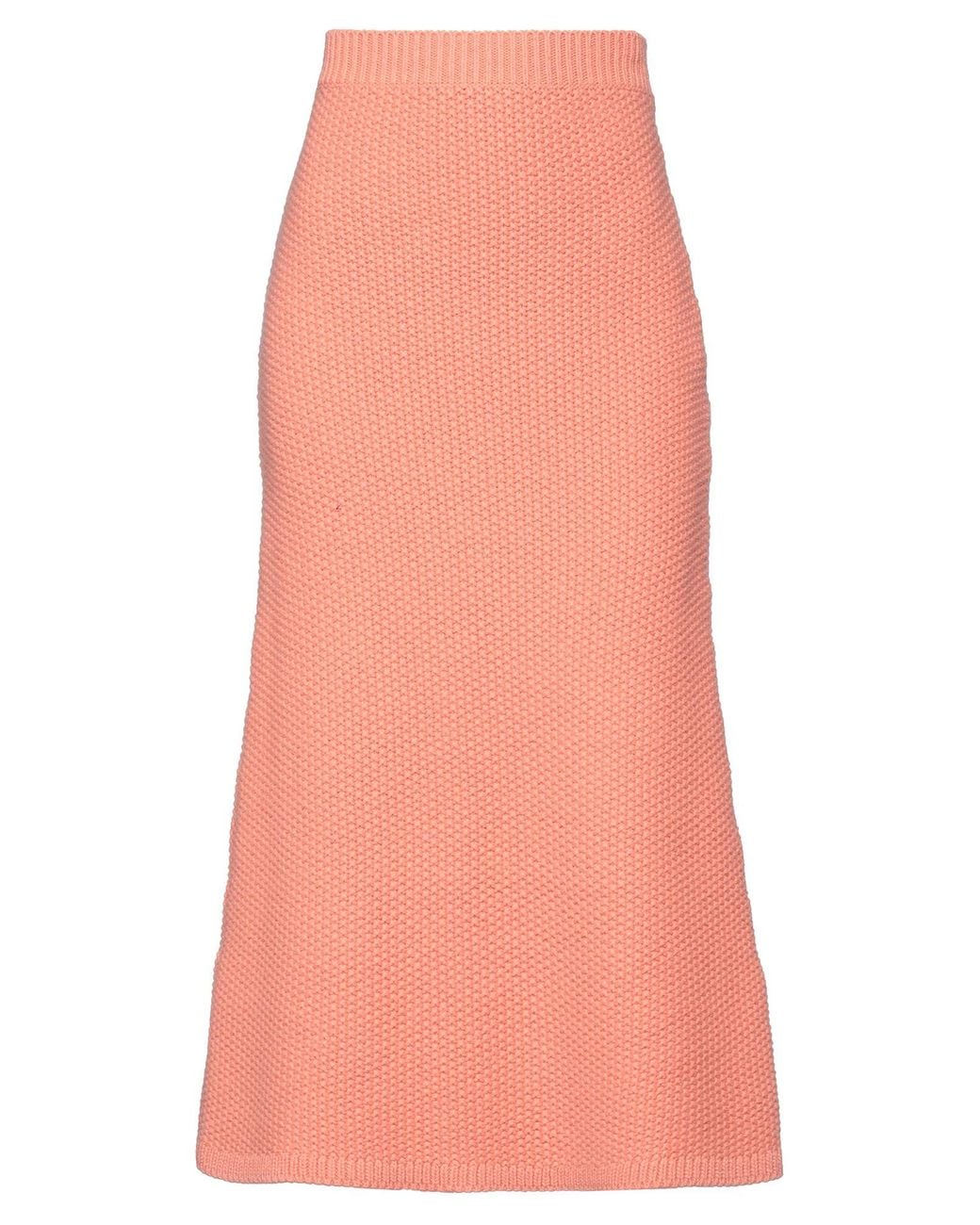 Chloé Pink Midi Skirt
