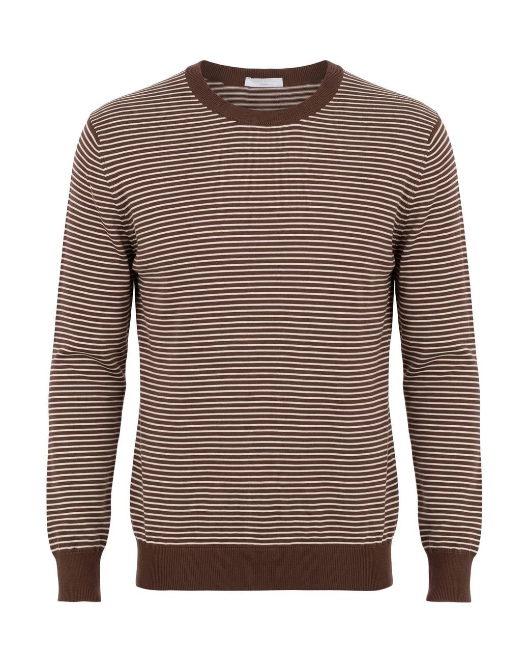 Ballantyne Brown Sweater Cotton for men