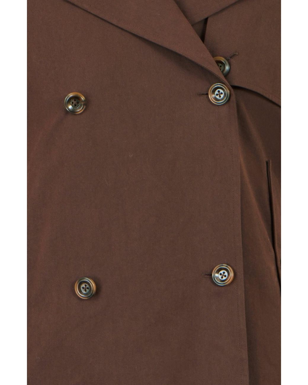 Yumi' Brown Cropped Trench Coat With Check Lining