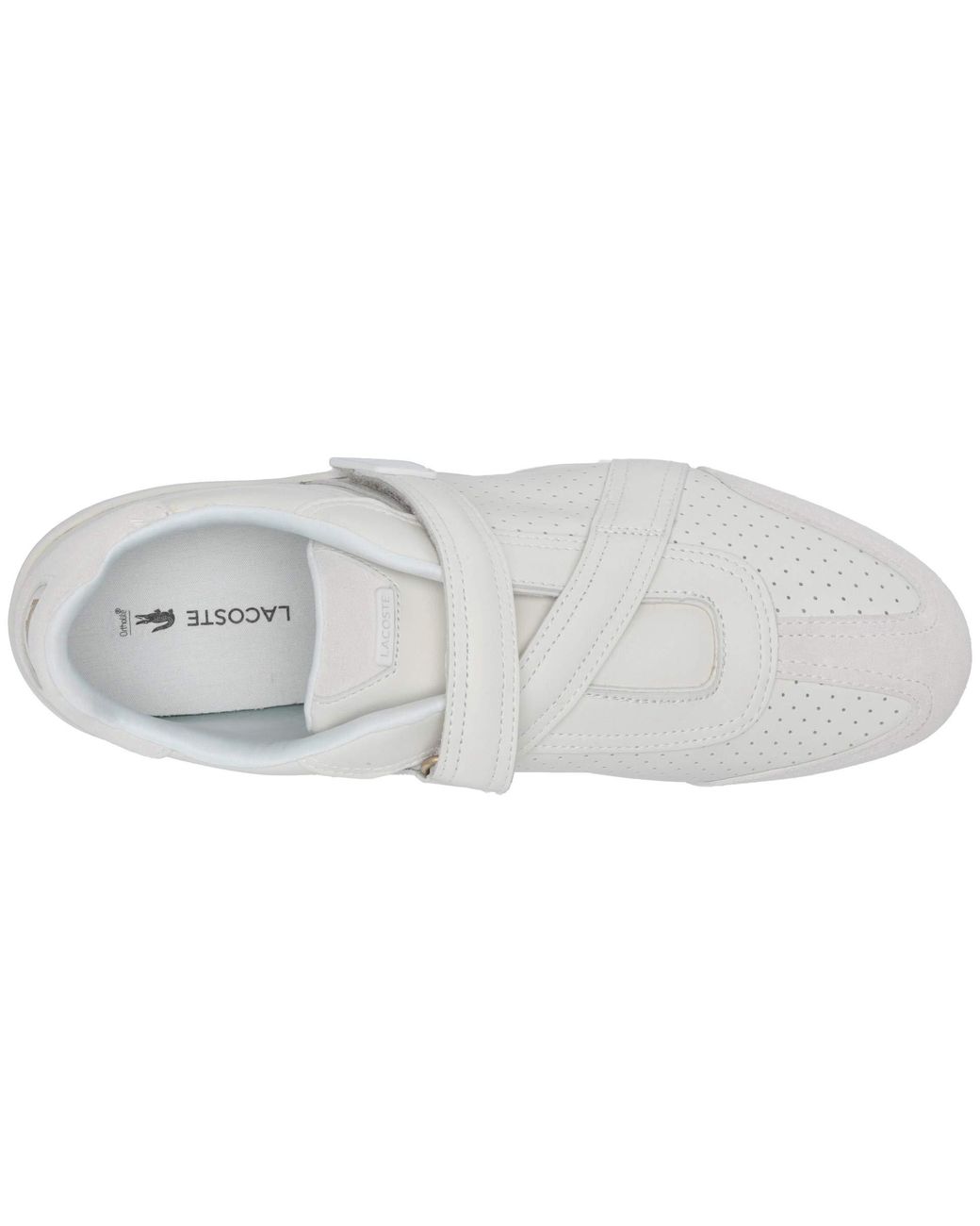 Lacoste hapona strap hot sale