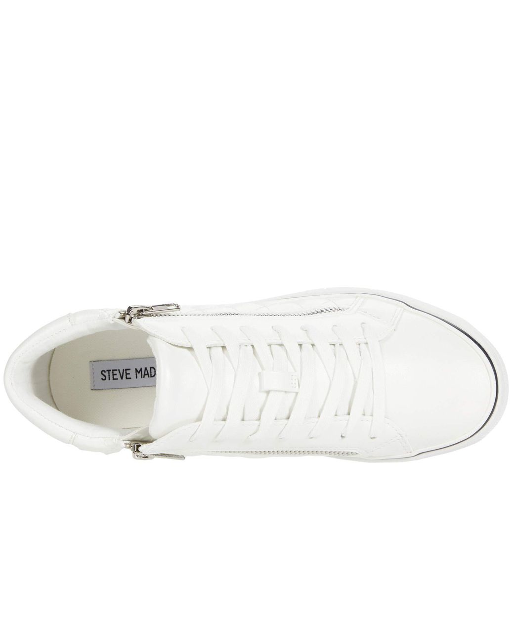 steve madden gryphon