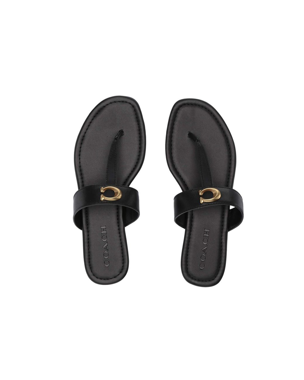 COACH Jessie Thong Sandal With Signature Buckle in Black | Lyst