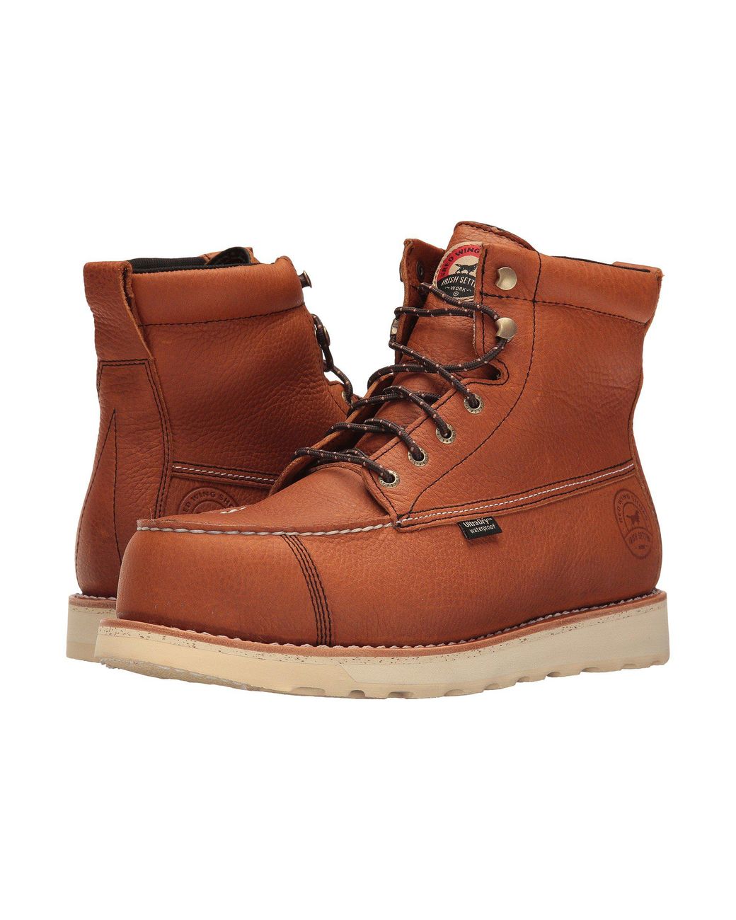 irish setter 83632