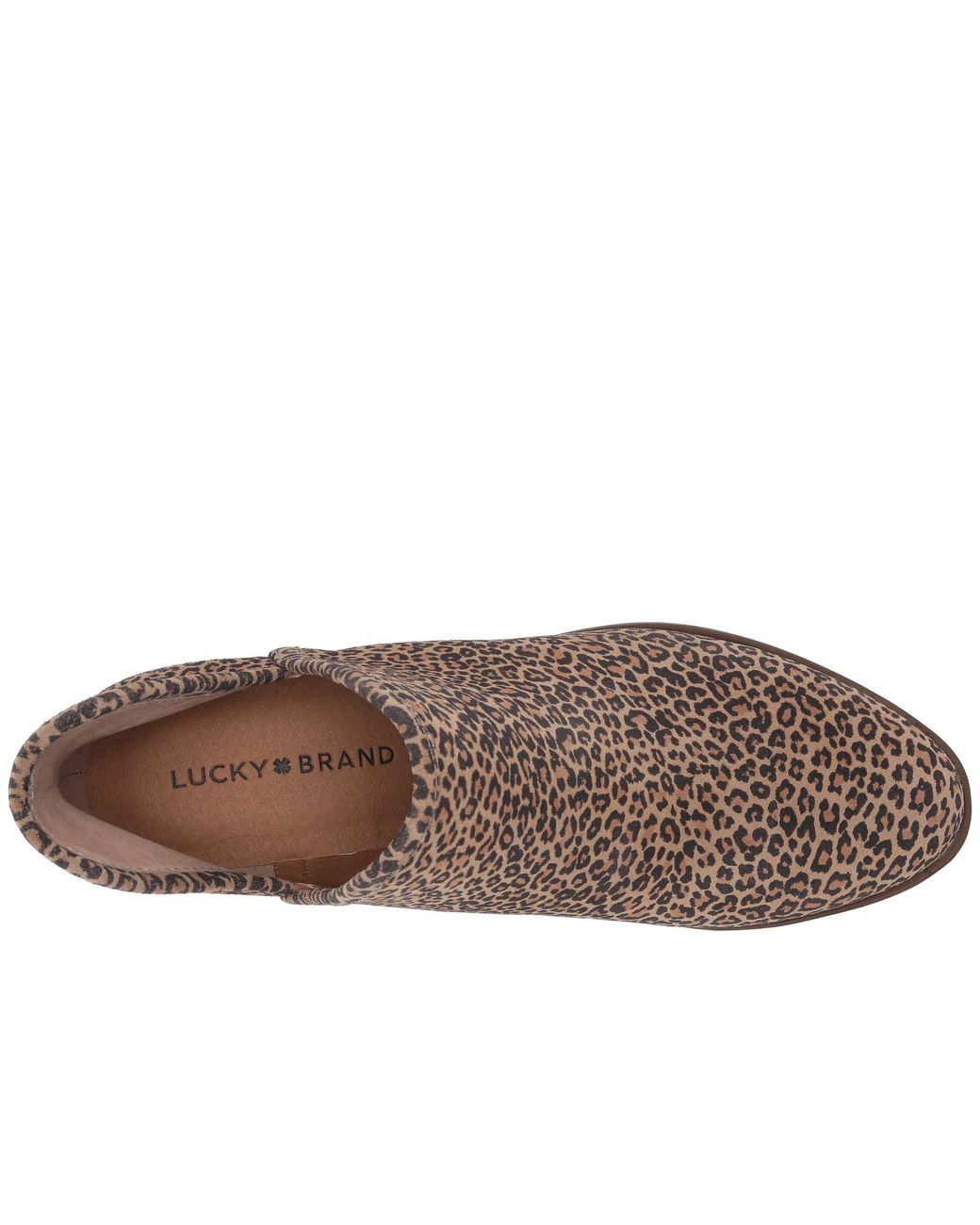 lucky brand baley perforated chop out booties leopard