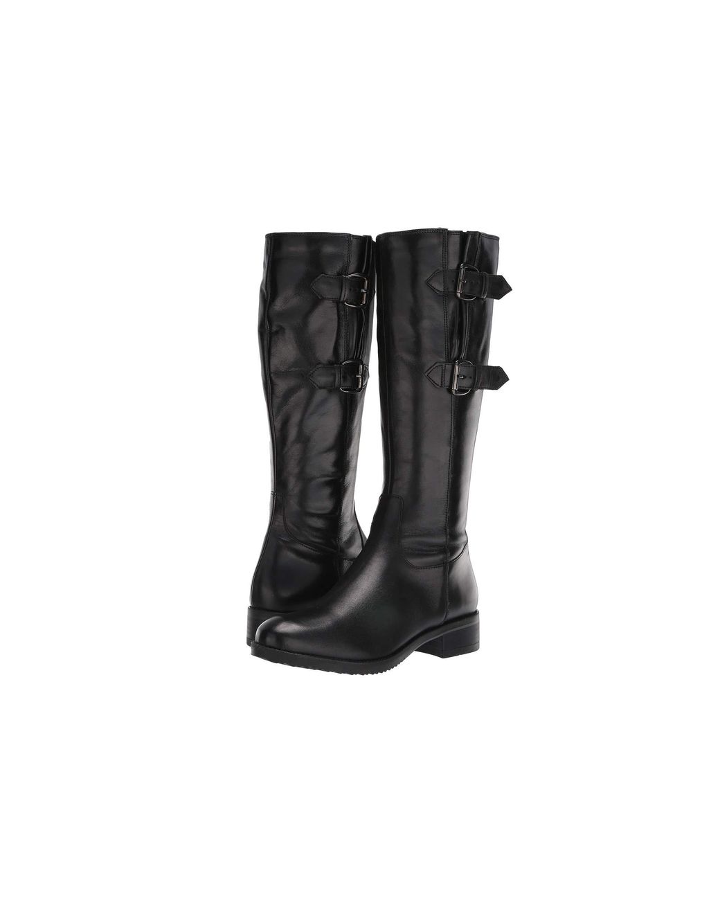 clarks sugar spice pump