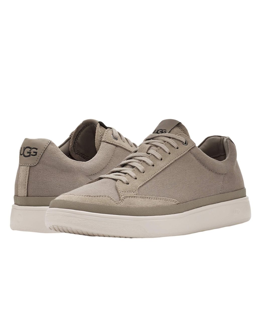 ugg canvas sneakers