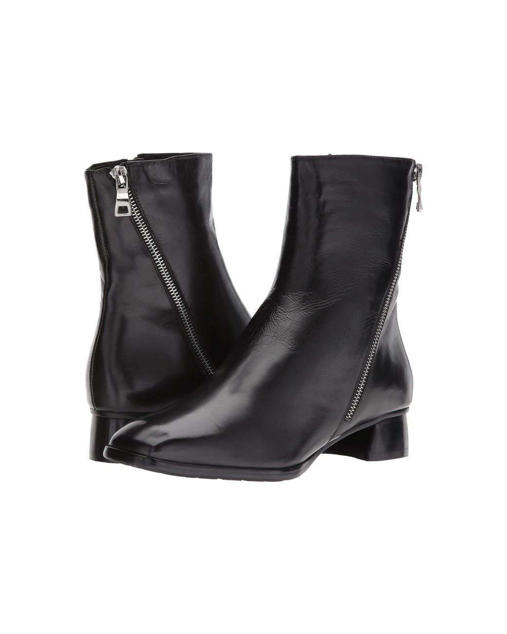 spring step giachetta