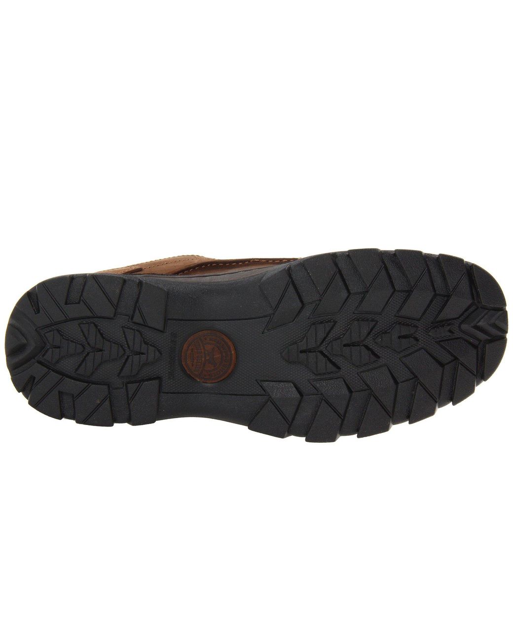 irish setter borderland oxford