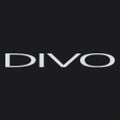 Divo Boutique logo