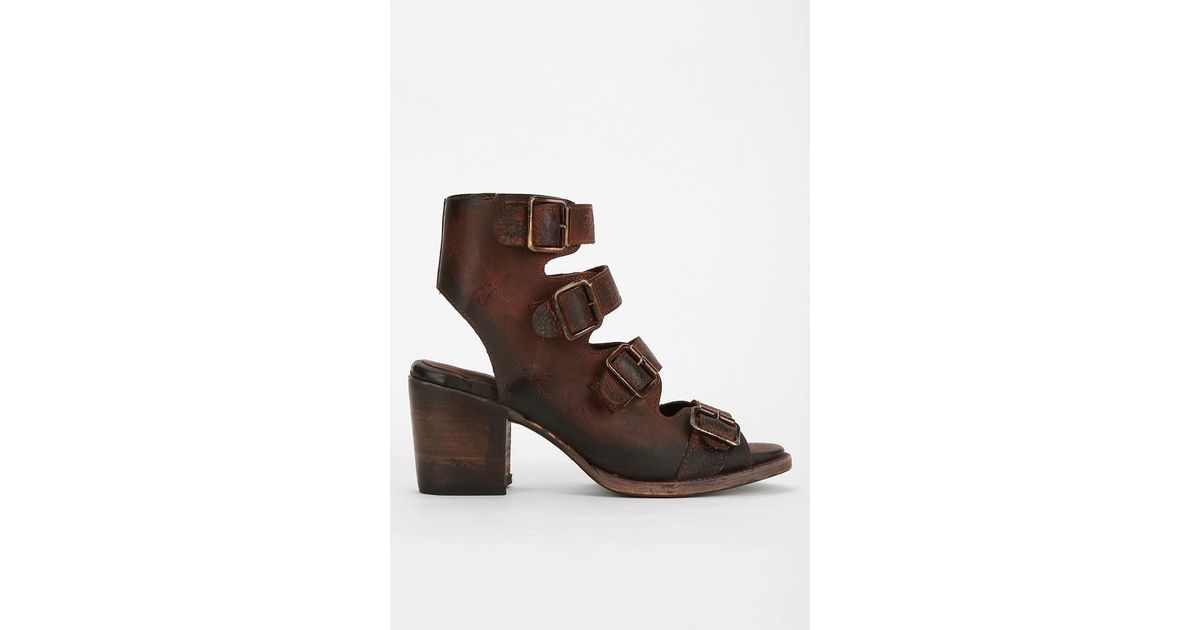 freebird by steven quail