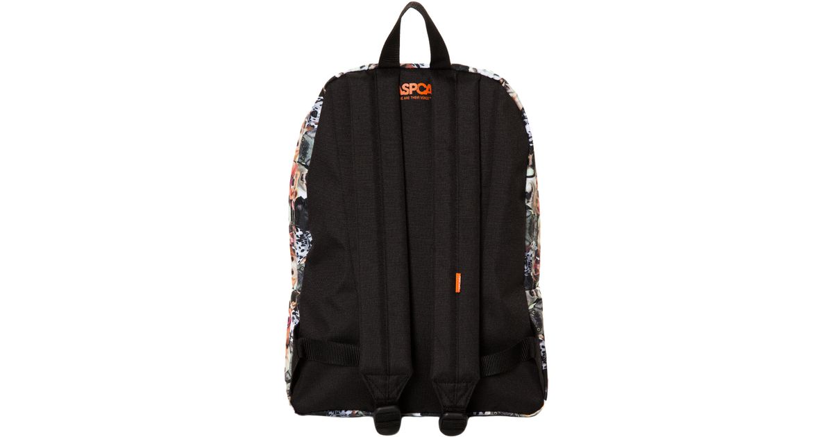 vans aspca dog backpack