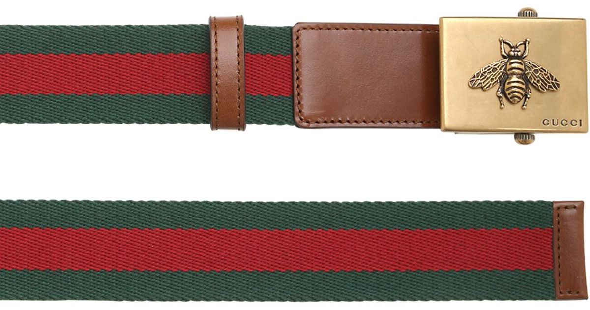 gucci web belt with bee