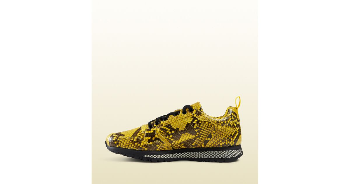 gucci sneakers python