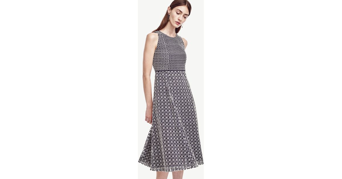 ann taylor navy eyelet dress
