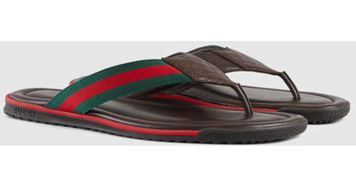 gucci web strap thong sandal