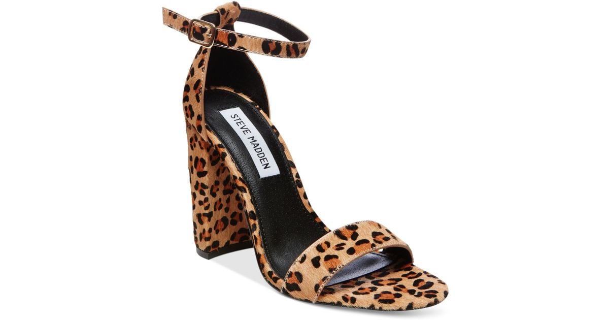 steve madden carrson animal
