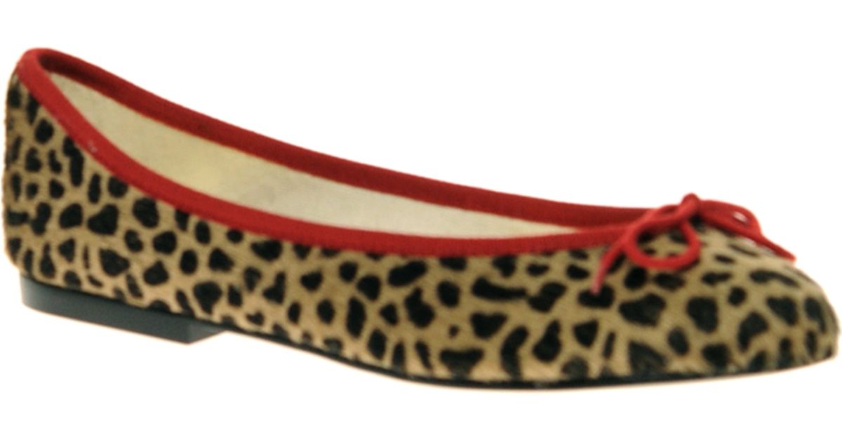 french sole leopard