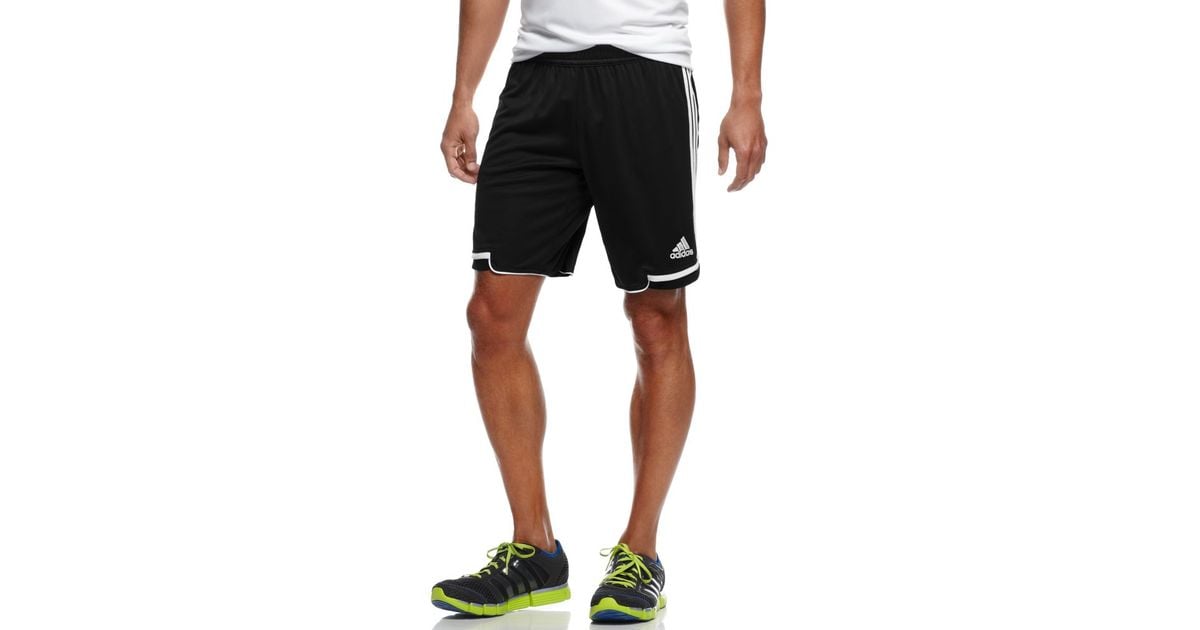 adidas regista shorts