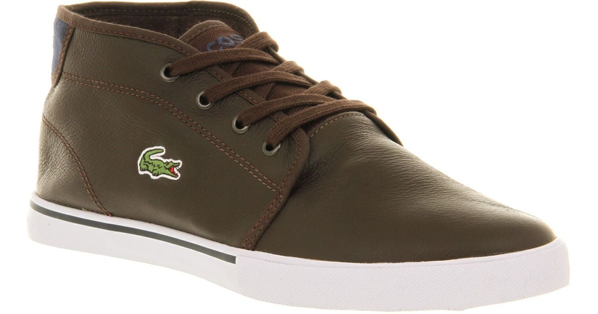 browns lacoste shoes