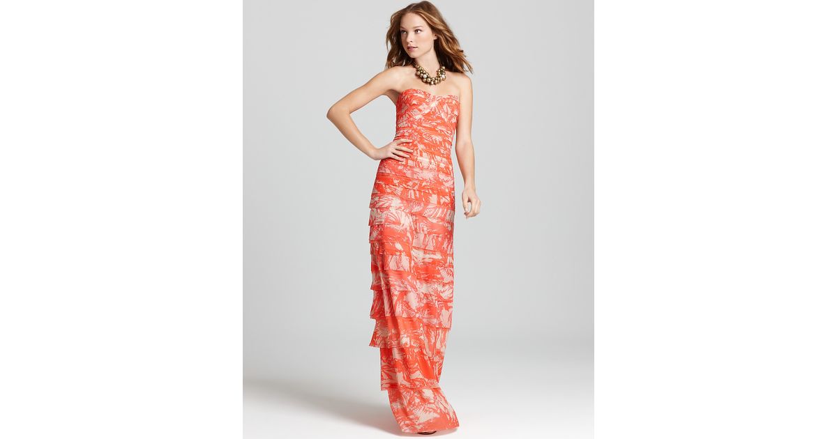 erika fancy gown