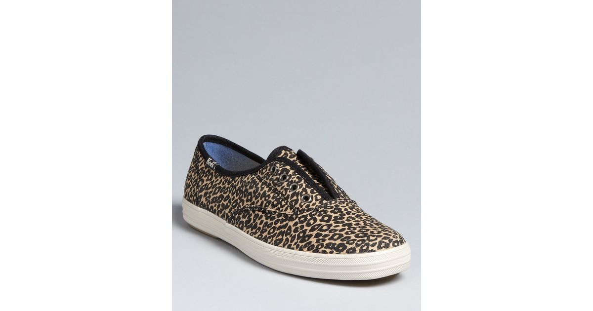 champion shoes laceless
