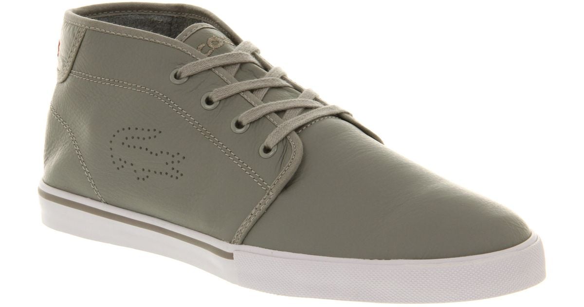 lacoste ampthill grey