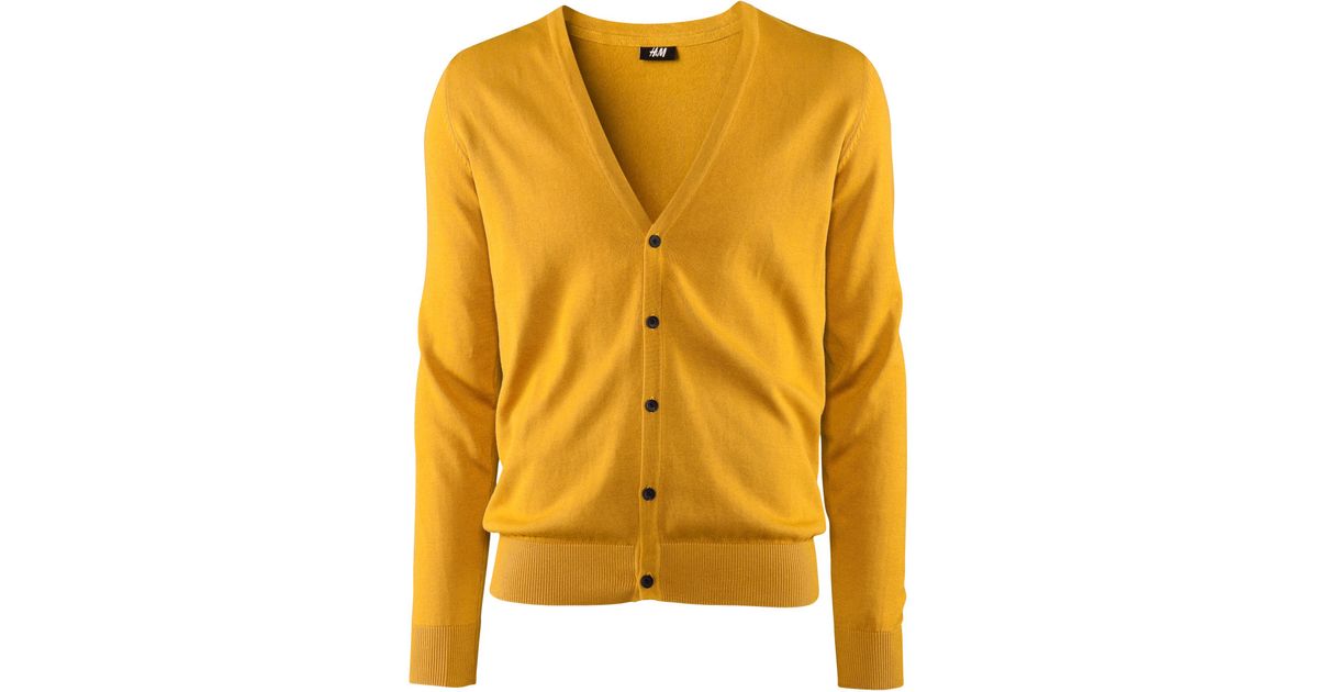 hm men cardigan