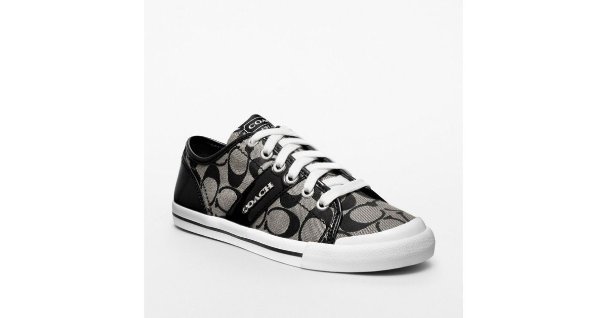 coach fillmore sneaker