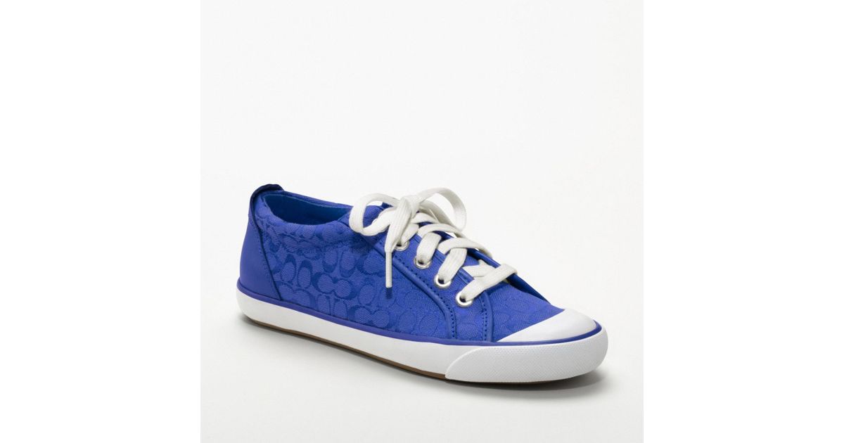 coach blue sneakers