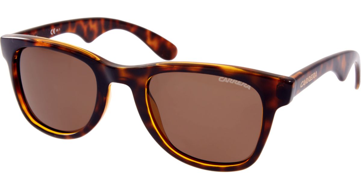 Carrera Wayfarer Sunglasses Polarised in Brown for Men - Lyst