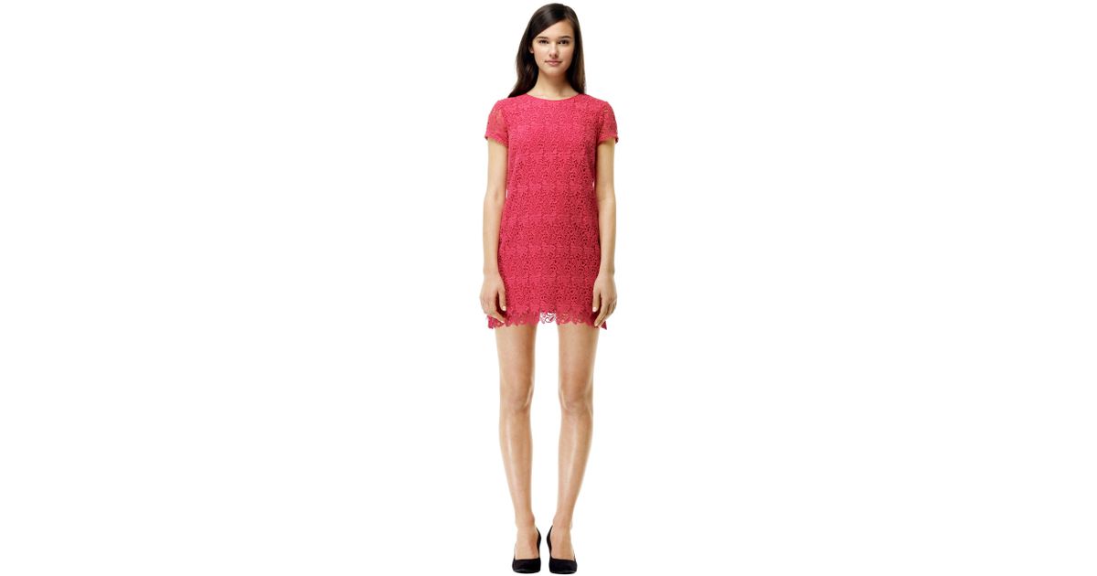 cerise pink lace dress