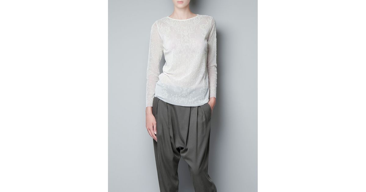 sheer sleeve top zara