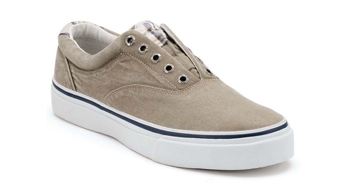 sperry top sider laceless