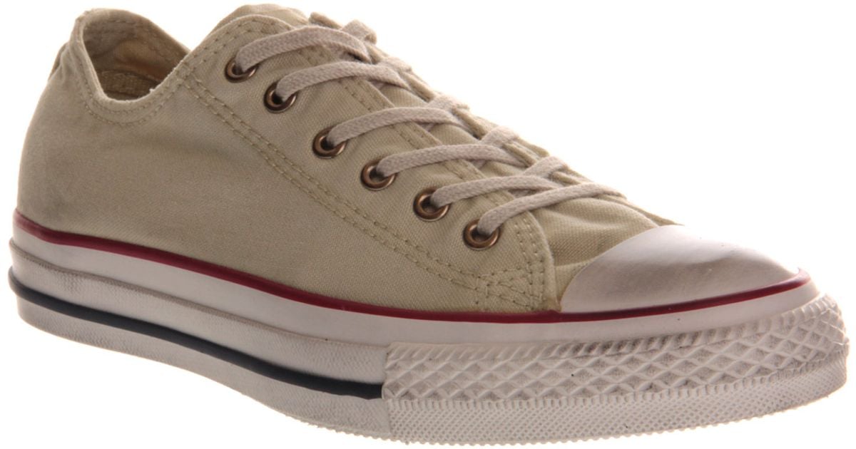 converse turtledove 2converse turtledove
