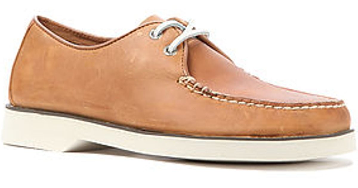 sperry captains oxford
