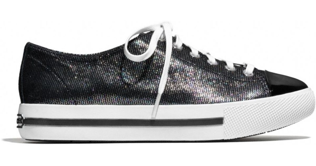 coach ian sneakers