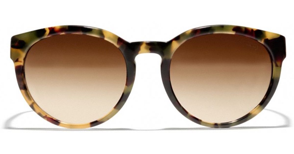 coach kylie sunglasses