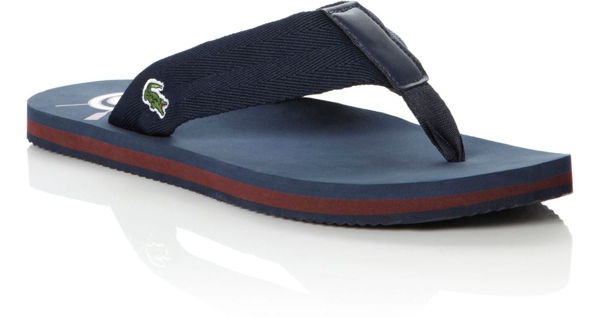 lacoste toe post flip flops