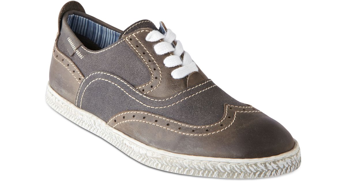 steve madden wingtip