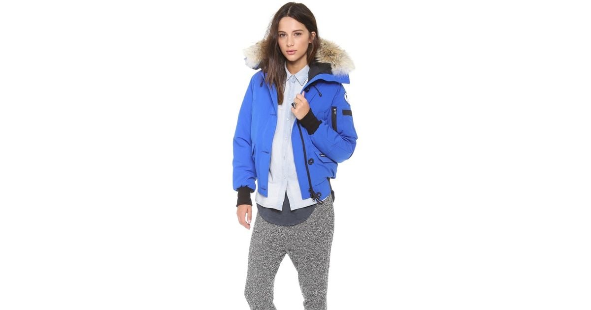 Canada Goose Polar Bears Chilliwack Bomber Jacket - Pbi Blue | Lyst