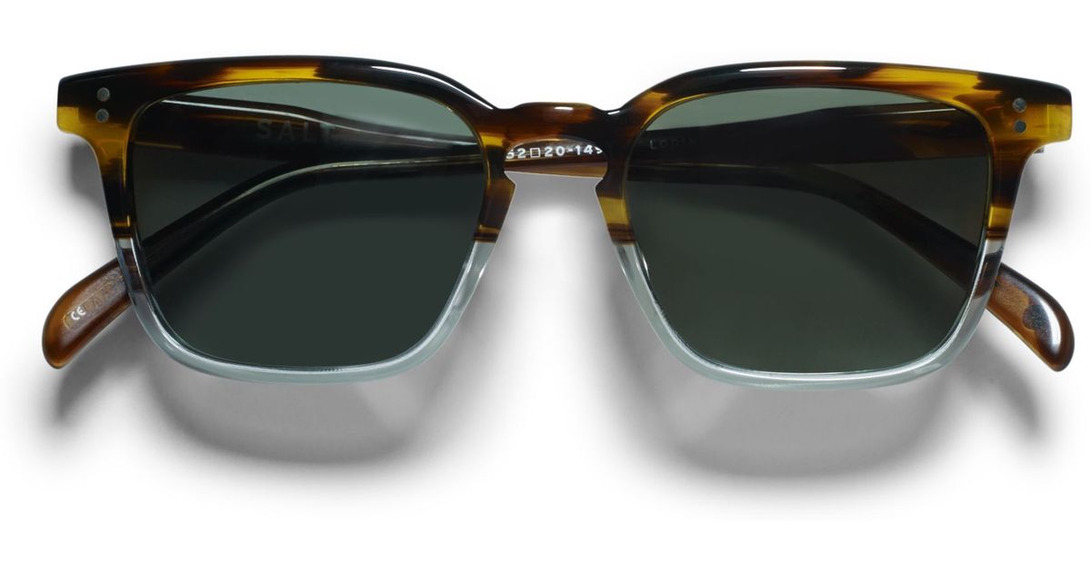 salt lodin sunglasses