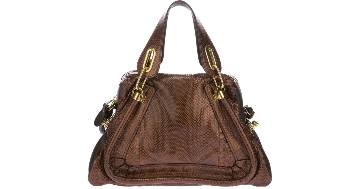choloe bags - Chlo Paraty Python Skin Shoulder Bag in Brown | Lyst